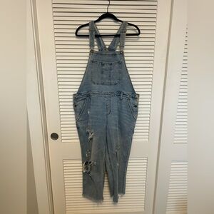 Wild Fable Distressed Denim Overalls